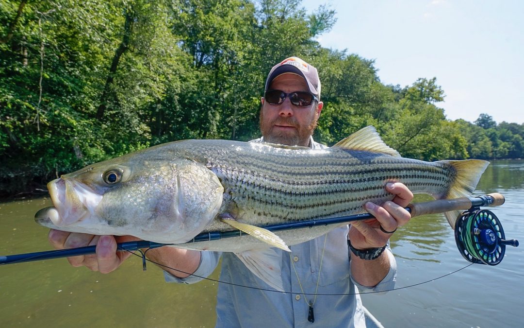 Etowah River Fishing Report 8/6/2018