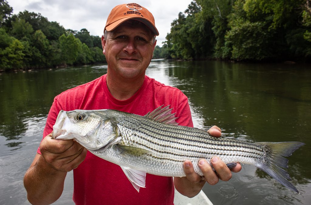 Etowah River Fishing Report 8/20/2018