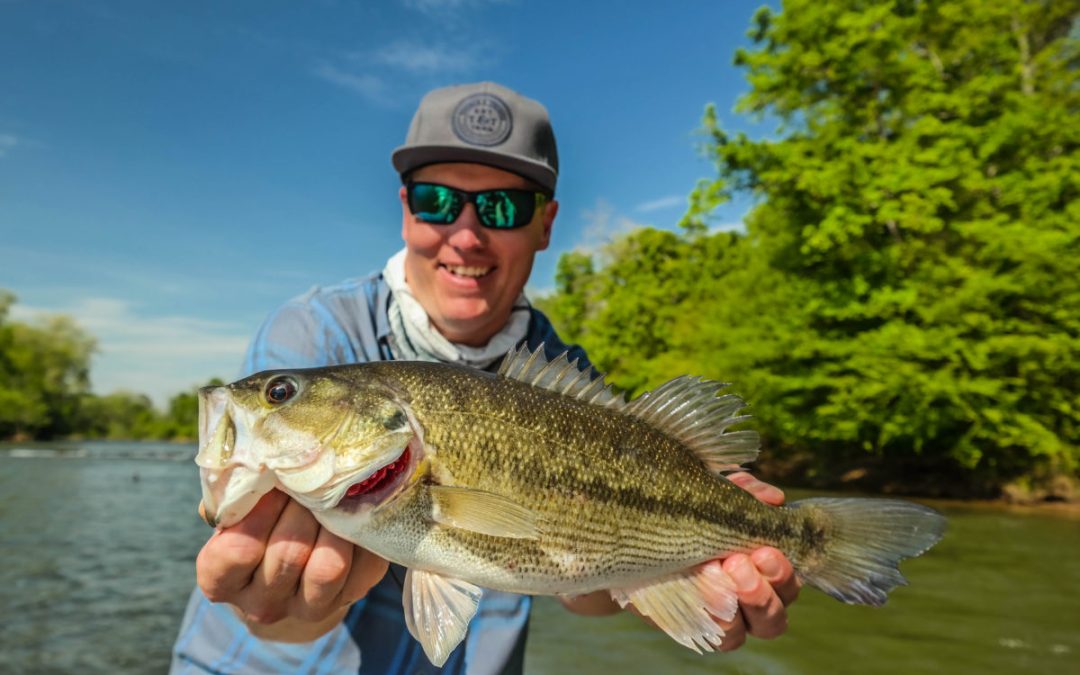 Etowah River Fishing Report 9/17/2018