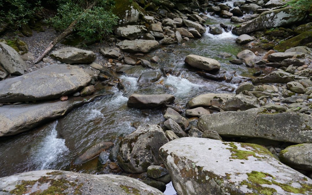 Targeting Trout in Small Water