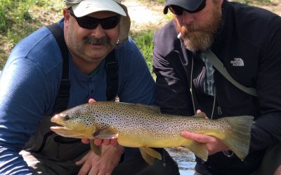 Fishing Report 5/16/2019