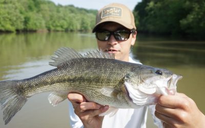 Fishing Report 5/2/2019