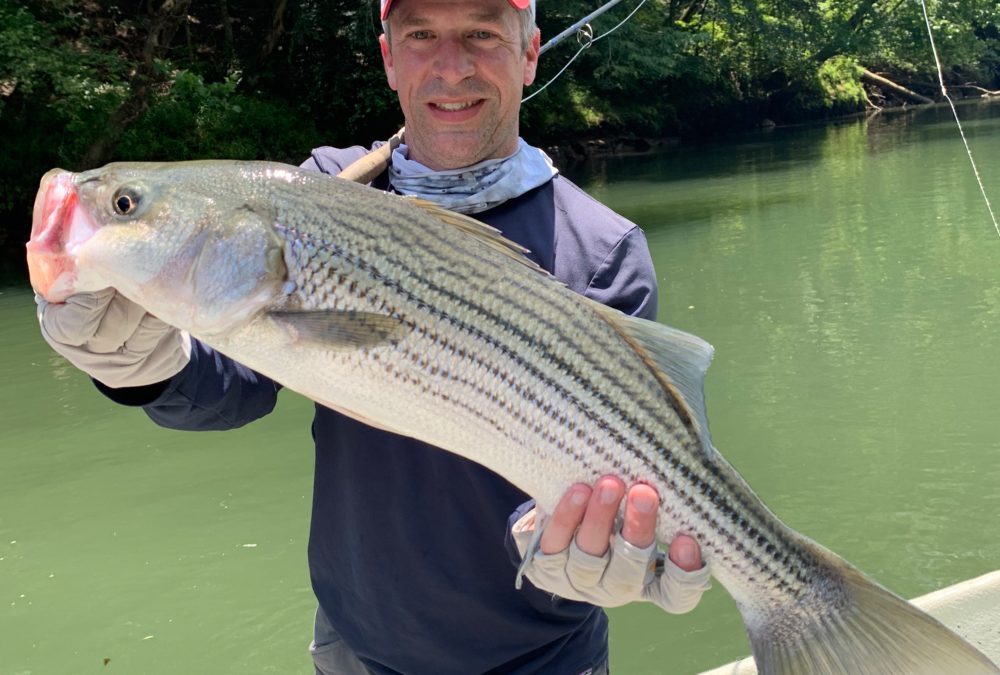 Fishing Report 6/27/19