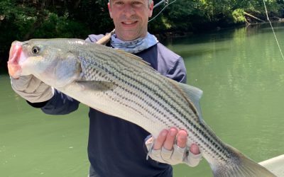 Fishing Report 6/27/19