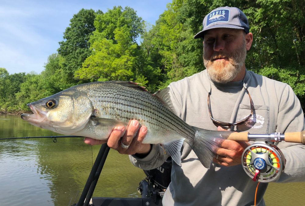 Fishing Report 6/7/2019