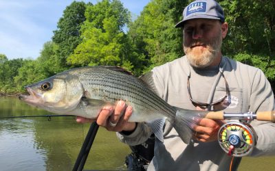 Fishing Report 6/7/2019