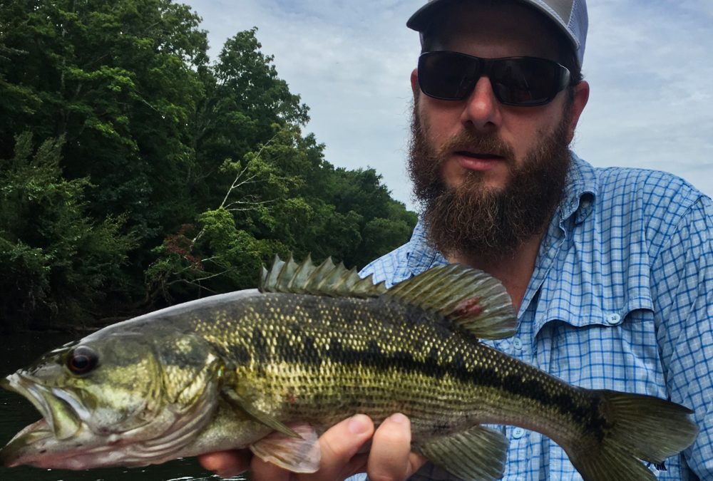 Fishing Report 8/1/2019