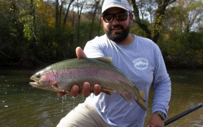 Fishing Report 11/2/19