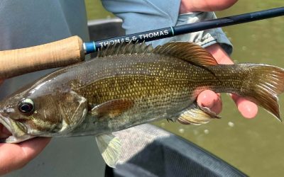 Maximize Your Summer Bass Fishing Success: Tips for Low Water Levels