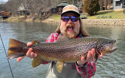 Toccoa Tailwater: Black Caddis Hatch Gearing Up