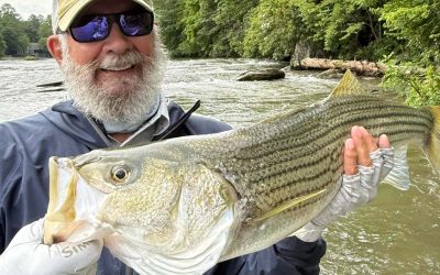 July North Georgia Fly Fishing Conditions: Toccoa, Wild Trout, and Warmwater Action