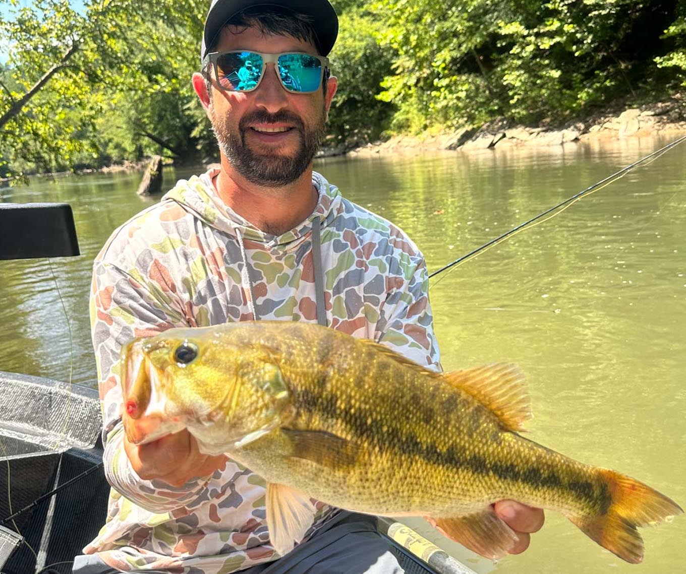 Bass