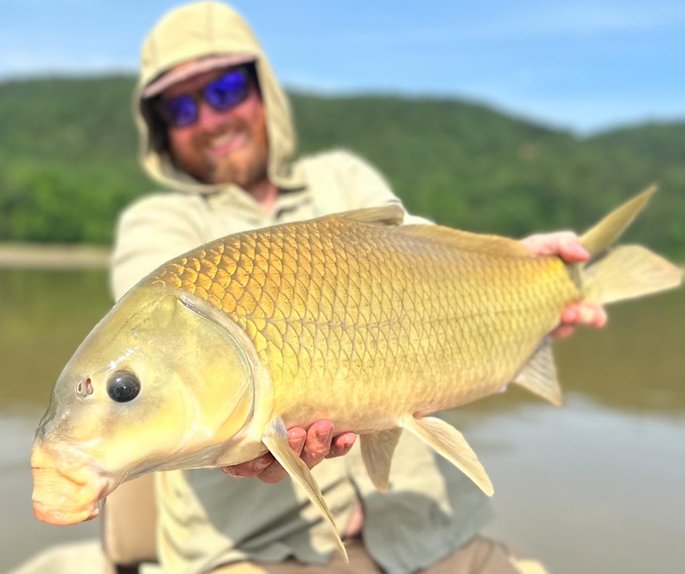 Carp