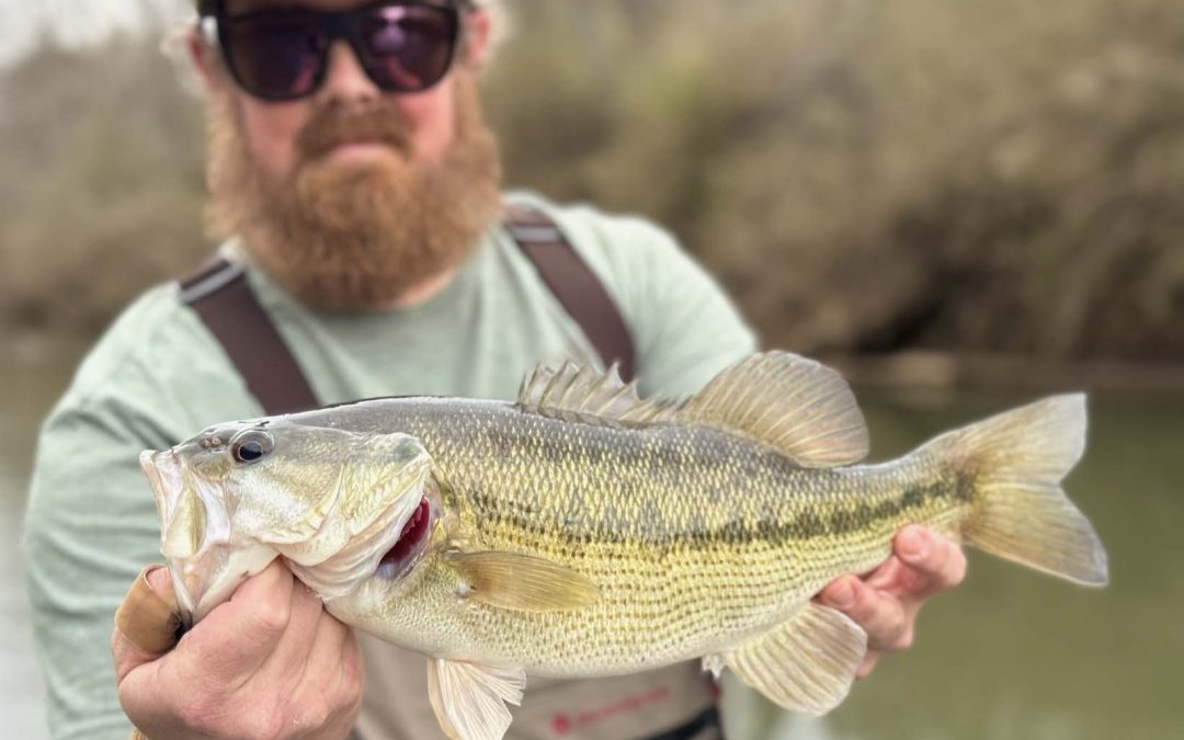 Toccoa River, Spotted Bass & Small Streams