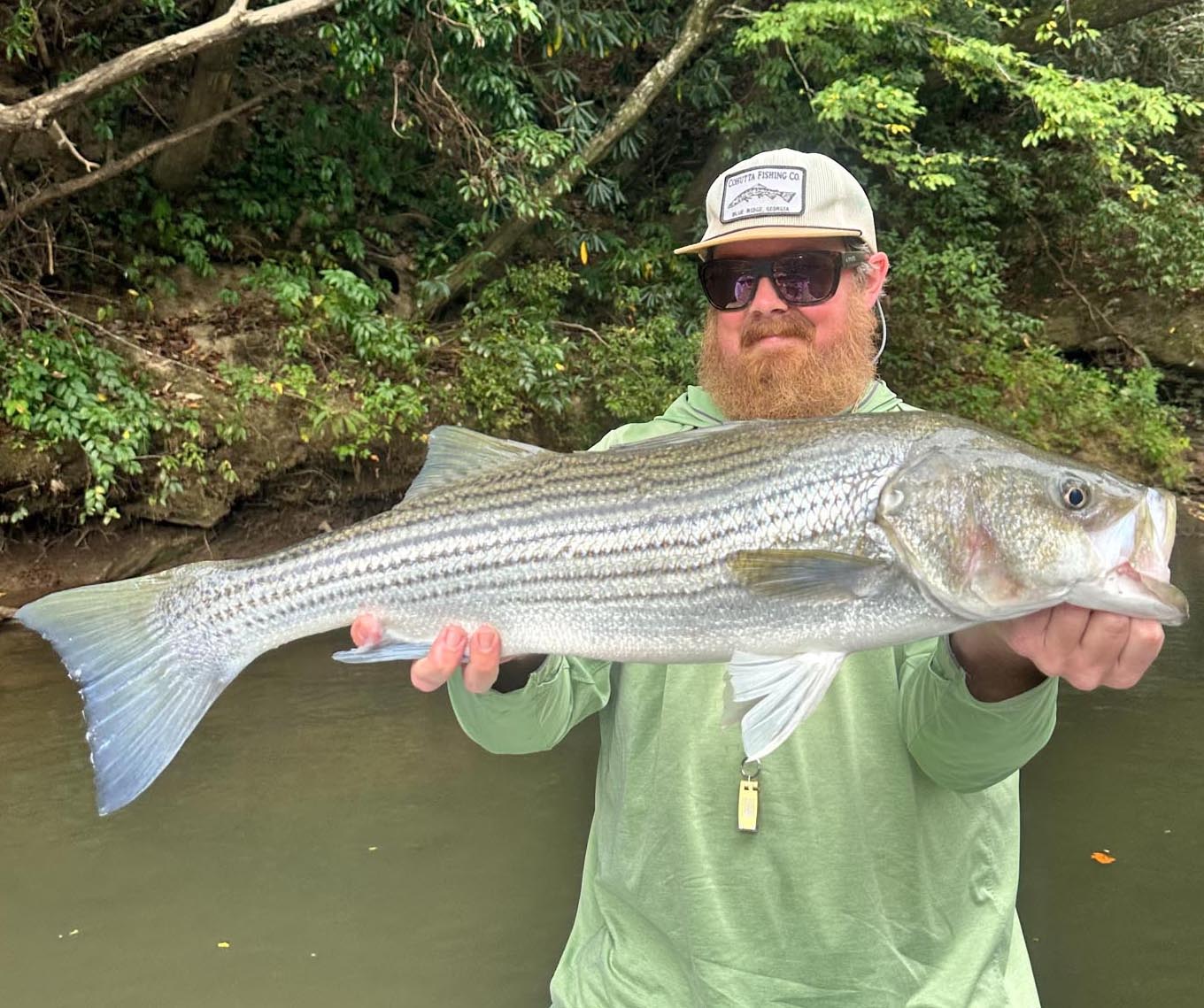 Striper