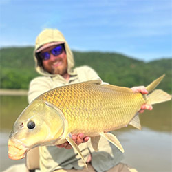 Carp