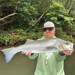 Striper