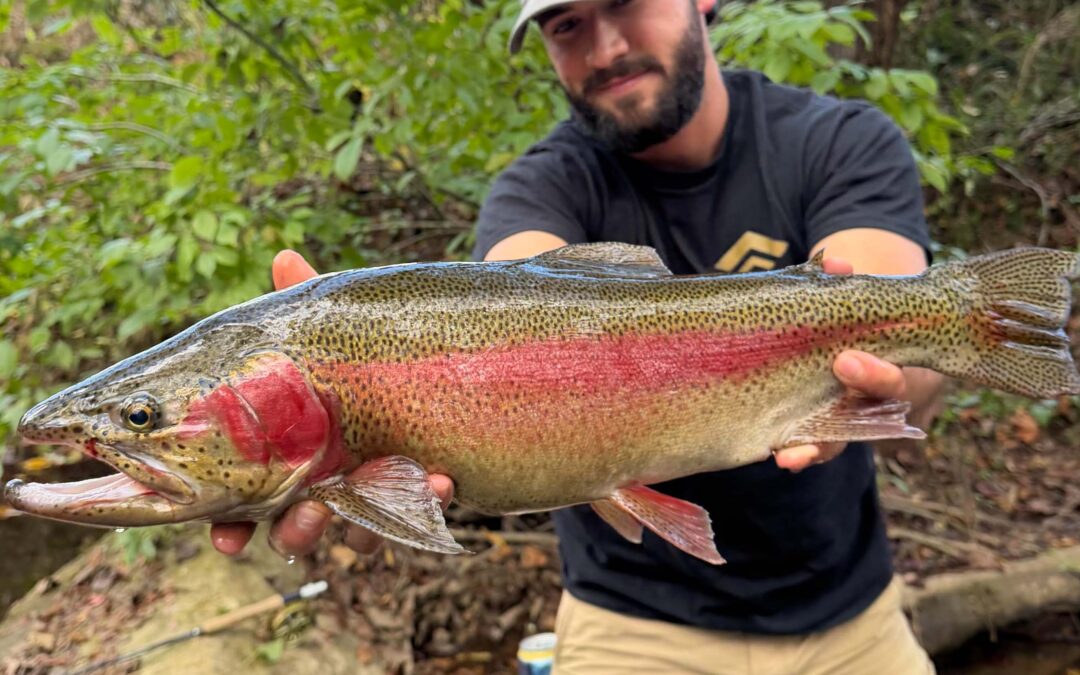 Toccoa River Report – Early November Flows, Hatches & Hot Flies