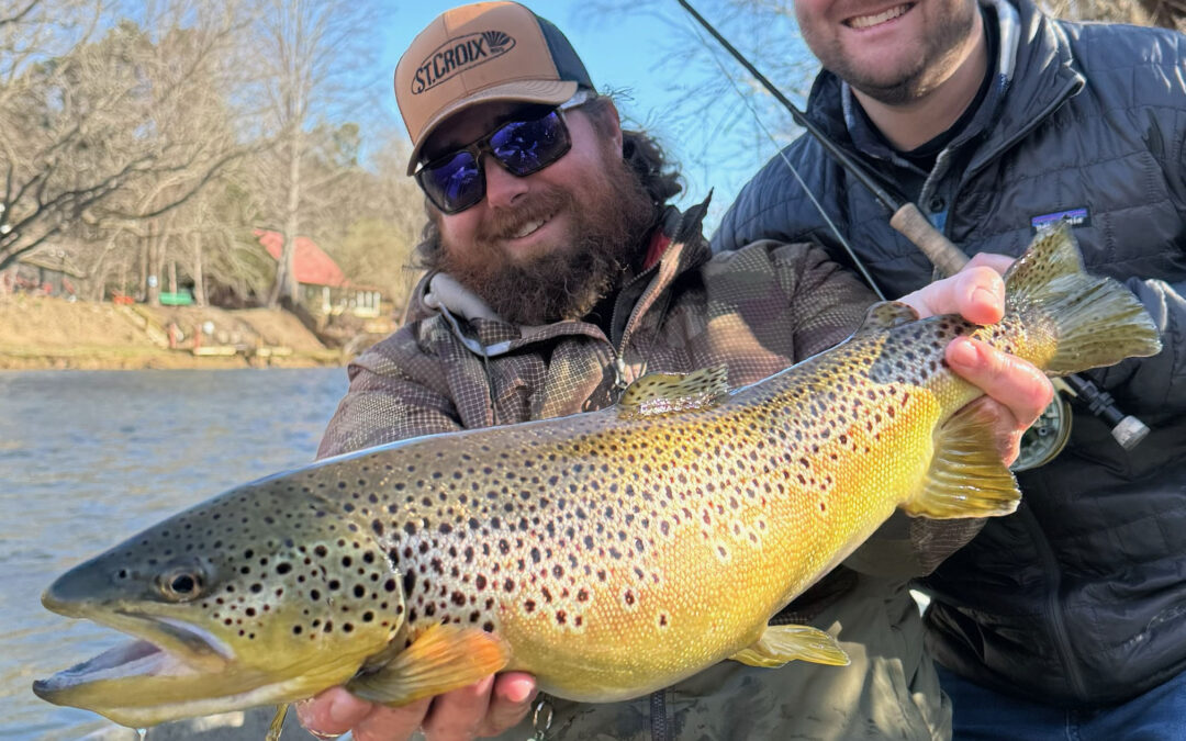 Best Flies Right Now on the Toccoa River – Fishing Report