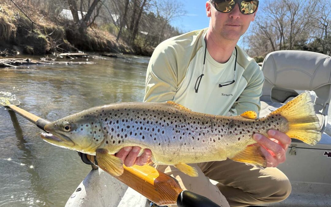 Black Caddis, Big Risers & Spring Flow Conditions