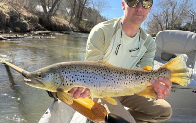 Black Caddis, Big Risers & Spring Flow Conditions