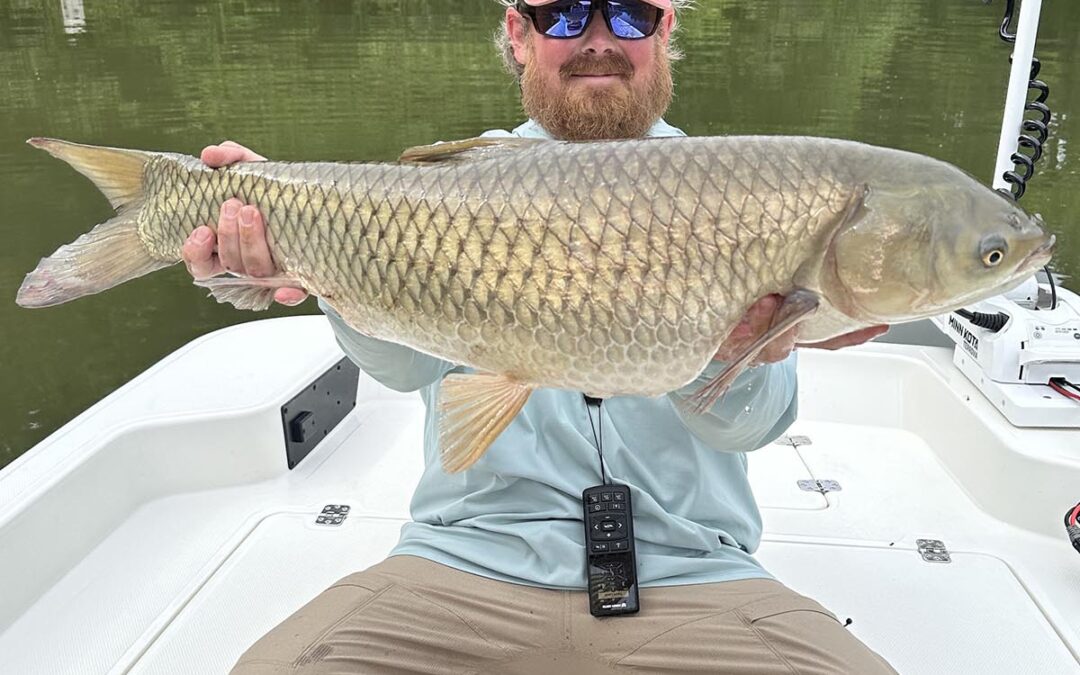 Blue Ridge Fly Fishing Report: Clear Water, Caddis Activity & Early Summer Transition
