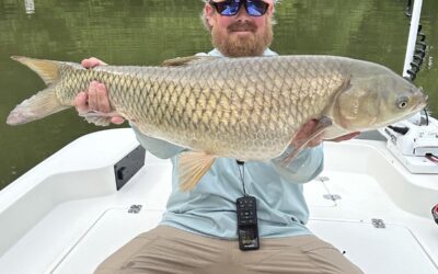 Blue Ridge Fly Fishing Report: Clear Water, Caddis Activity & Early Summer Transition