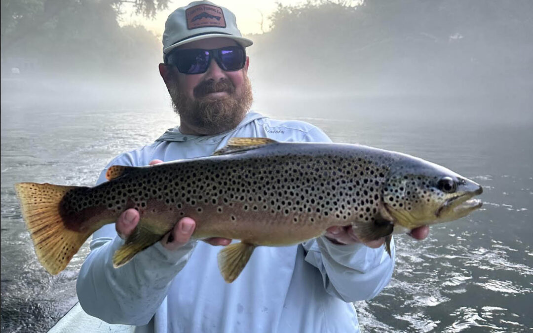 Blue Ridge, GA Fishing Report: Toccoa River Fly Fishing Update