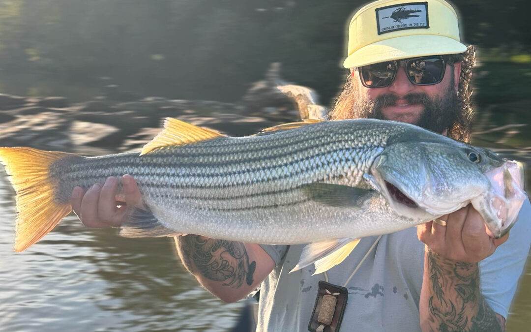 North Georgia Fishing Report: Toccoa River, Creeks & Warmwater Fishing
