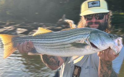 North Georgia Fishing Report: Toccoa River, Creeks & Warmwater Fishing